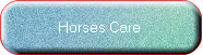 Horses Care 